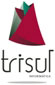 TRISUL INFORMATICA S.L.